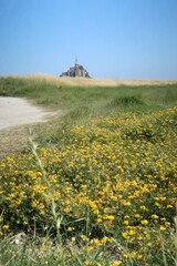 Mont saint michel architecture panoramic beautiful postcard view at Dusk in Summer Low Tide, France