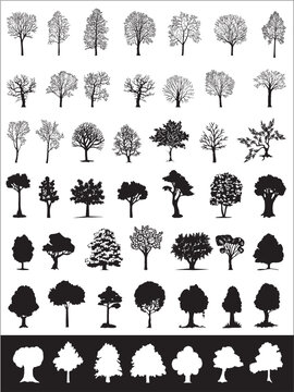 Trees, vector collection