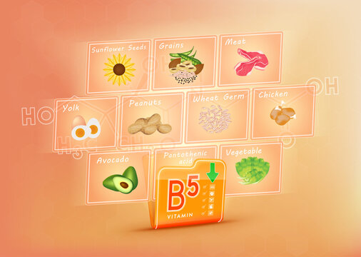 Folder collect vitamin B5 range. There is a screen projecting out pictures of fruits and vegetables. Vitamin that neutralize free radicals. Anti aging beauty concept and health care. 3D vector EPS10.