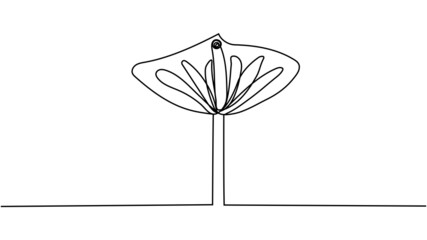 continuous line drawing of beautiful flower Calla