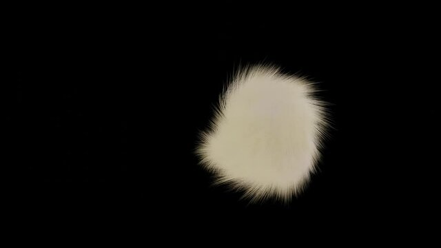 a white fur sphere moves over a black background. abstract animation. 3d render