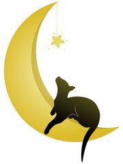 Black cat on moon, playing with star. Vector illustration