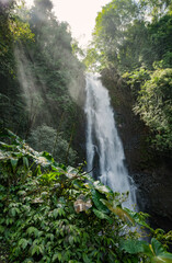 landscape tropic waterfall jungle fresh water