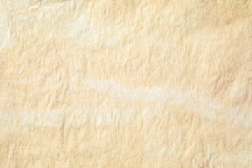 brown kraft paper with details texture