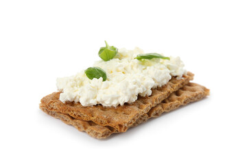 Crispy crackers with cottage cheese and basil on white background