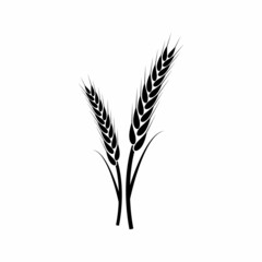 wheat vector icon