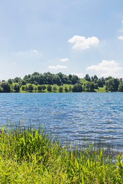 Shore of Weinfelder Maar lake