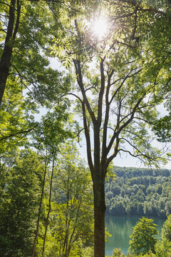 Sun shining over Gemundener Maar lake