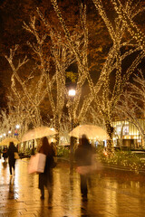 東京の表参道のクリスマスイルミネーションの縦写真