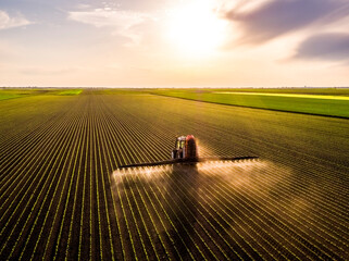 Aerial view of tractor spraying soybean crops at sunset