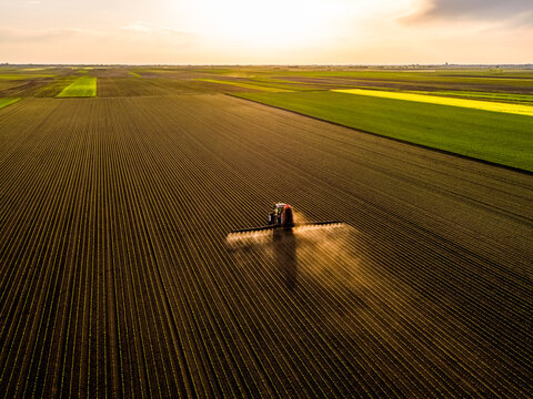 Aerial view of tractor spraying soybean crops at sunset