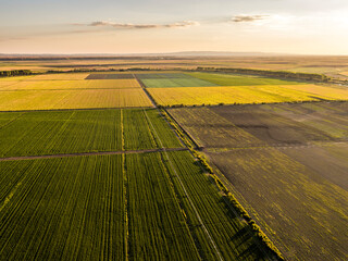 Aerial view of vast agricultural farm fields at summer sunset