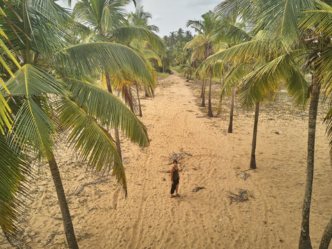 Benin, Grand Popo, High angle view of woman standing between palm trees on sandy coastal beach