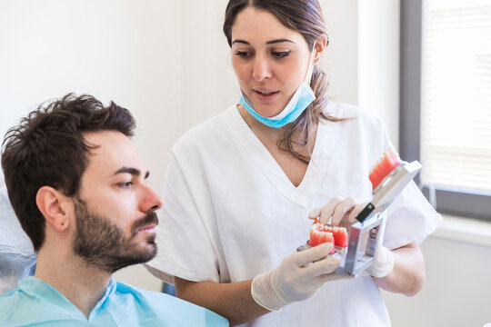 Female dentist explaining teeth model to patient at medical clinic