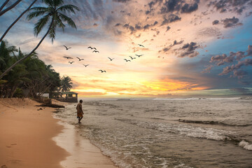 A romantic beach scene in Sri Lanka west coast. Fisher man in sunset with clouds. Beruwala, Bentota, Galle, Unawatuna, Hikkaduwa.