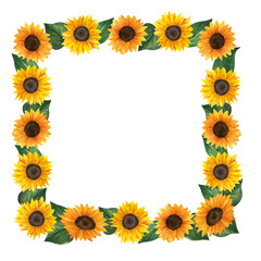 sunflowers frame, watercolor composition on white background