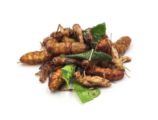 Fried insects. Fried crickets with grasshopper and kaffir lime leaves isolated on white background