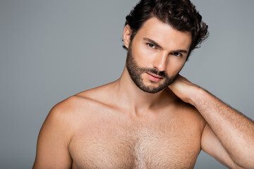 Fototapeta premium portrait of bearded man looking at camera isolated on grey