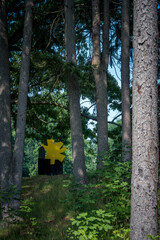 Fototapete bei efototapeten.de bestellen   