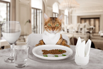 Cat at a delicious dinner at a restaurant at the table.