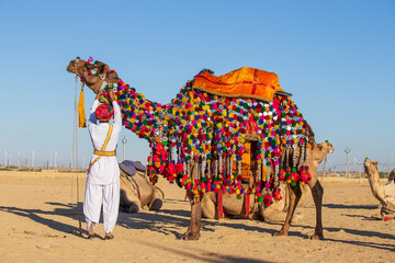 Indian man and camel wearing traditional dress participate in mister desert contest of festival in Rajasthan, India