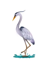 Foto op Plexiglas Blue heron illustration © Moodswinger