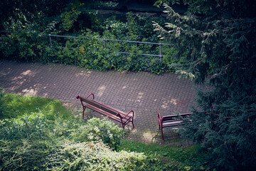  Wooden bench in the park, top view