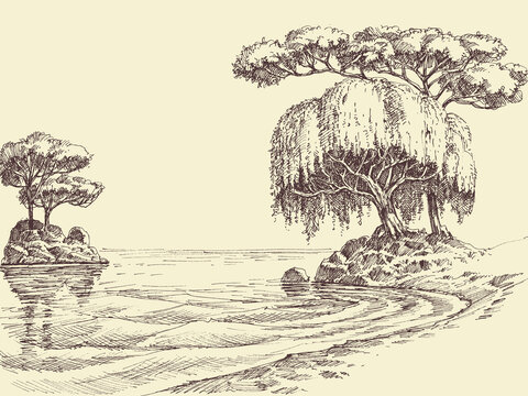 Lake shore or river bank willow landscape hand drawing