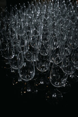 rows of clean glasses on the table