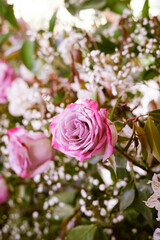 Roses Decoration on a Wedding 