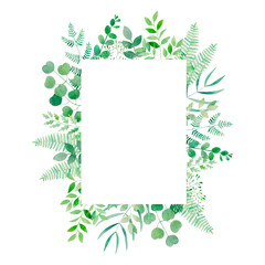 Watercolor botanical frame with trendy greenery: eucalyptus, fern, nagi. Isolated floral template with green herbs and leaves for wedding, cards and logo.	