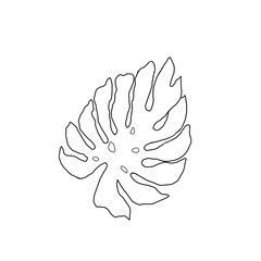 monstera leaf illustration. line art