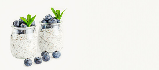 Chia seed yogurt pudding with blueberries. Clean eating and superfoods concept. Baneer, copy space