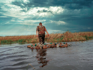 Duck Hunting in Marsh