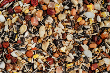 Parrot fodder background of dried fruits, nuts and seed mix. Healthy food for pets.