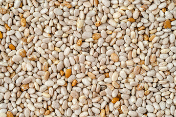 Macro shot of white chia seed background or texture. Top view, directly above.