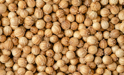 Macro shot of coriander seeds background. Top view