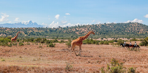 Horseriders enjoy the thrill of riding amongst the animals at Borana Lodge near Mount Kenya in Kenya.