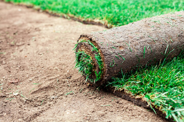 Soil coating with rolls of a lawn