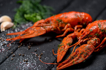 two large boiled crayfish with chastnyk and dill on a black background macro photo
