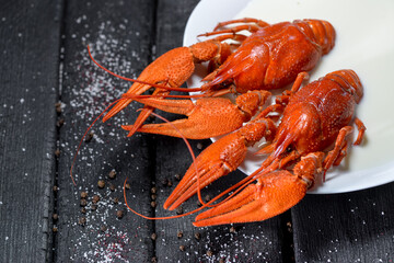 two large boiled crayfish in a white plate with milk on a black background
