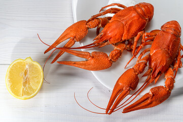 two large boiled crayfish with lemon on a white plate
