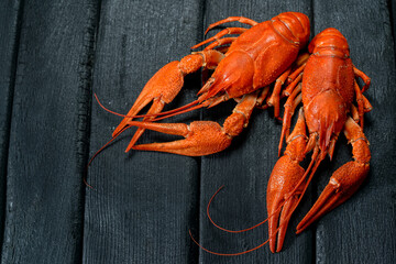 two large boiled crayfish on a black background
