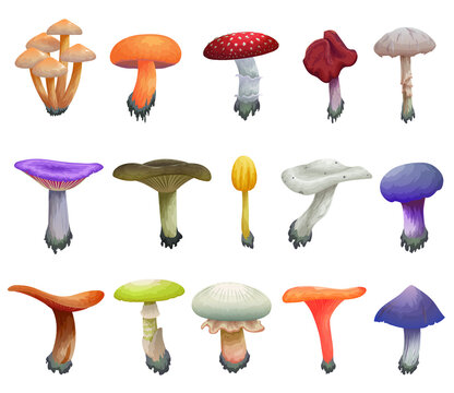Vector illustration cartoon set of toxic mushrooms, poisonous fungus