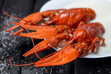 two large boiled crayfish on a black background close-up

