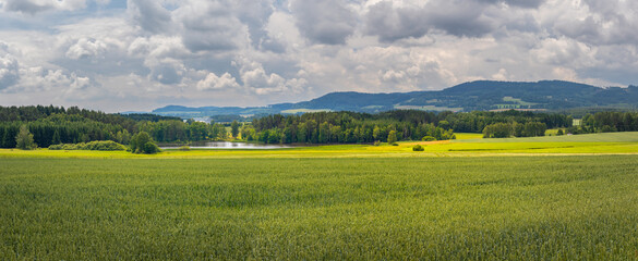 Obraz premium landscape with blue sky and clouds, pond and field