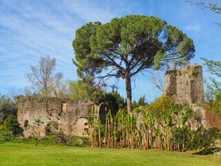 Remains of medieval building in the Garden of Ninfa of Caetani family are surrounded by exotic plants. Beautiful Monti Lepini valley near Sermoneta, Cisterna di Latina. Amazing landscape with blue sky - obrazy, fototapety, plakaty