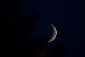 Obraz na płótnie Canvas Selective focus photo. Moon in the sky.