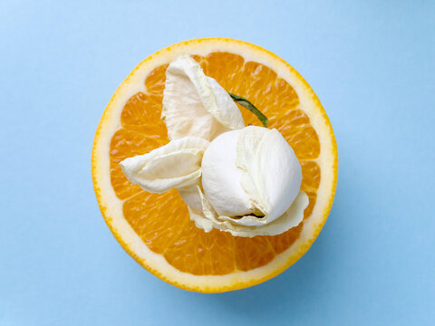 Top View Of A Fresh Juicy Cut Orange On Which Lies A Withered Dry Rose Bud. The Concept Of A Vegetarian Fruit Diet That Leads To Wilting And Health Problems.