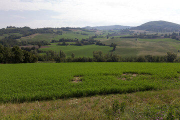 View of landscape along the via Francigena